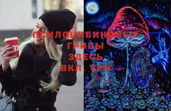 герыч Алексин