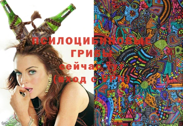 соль курить ск Алзамай