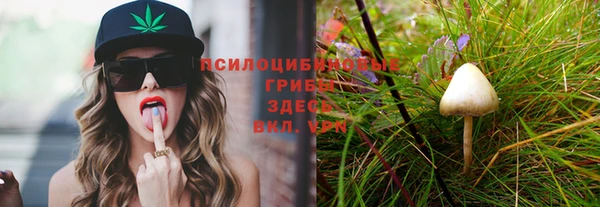 соль курить ск Алзамай