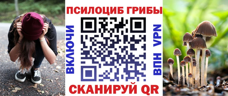Галлюциногенные грибы Psilocybine cubensis Бирск